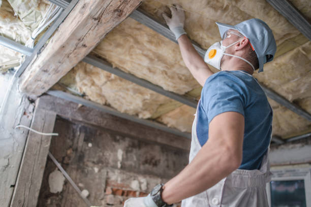 Best Residential Insulation in Kelly Ridge, CA